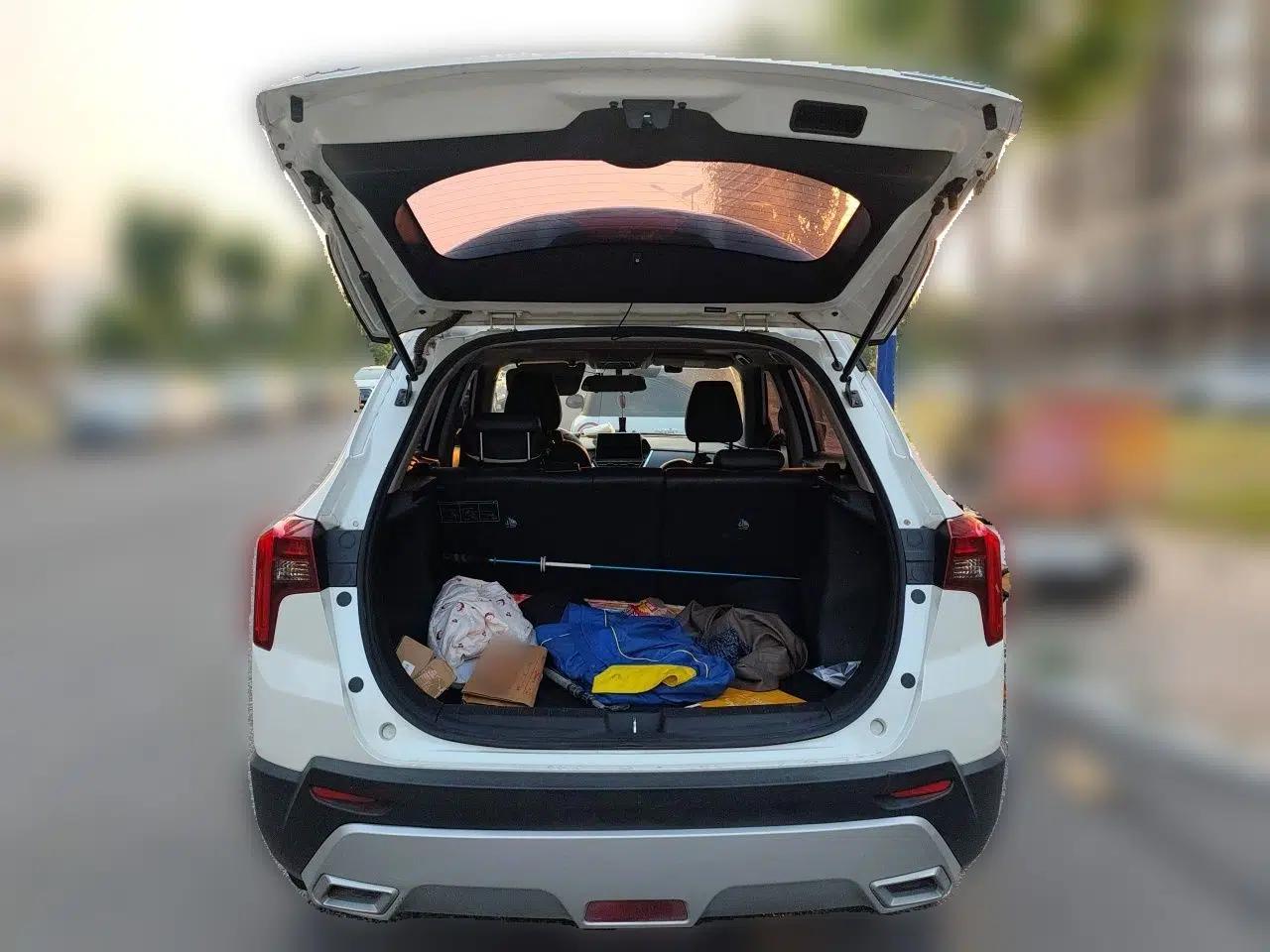 Venucia T60 2020 1.6L CVT Smart Drive Version China VI Standard — миниатюра 20