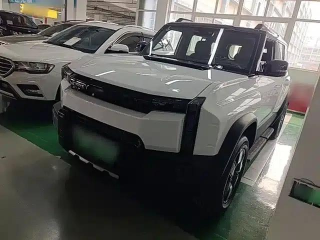 Fengyun X3L 2025 Model 215 Smart Edition