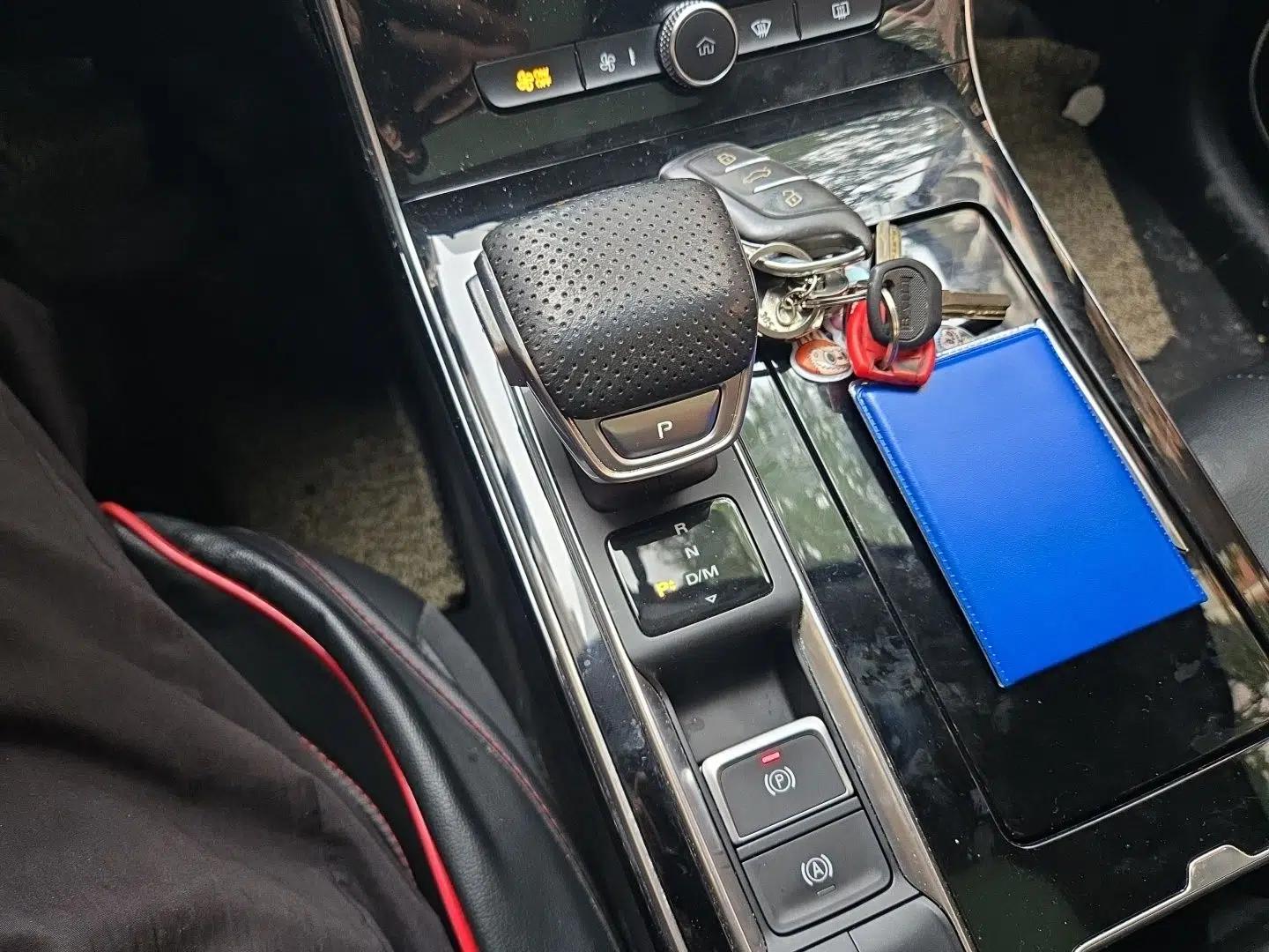 Roewe RX5 MAX 2019 300TGI Automatic 4G Connect Luxury Edition — миниатюра 15