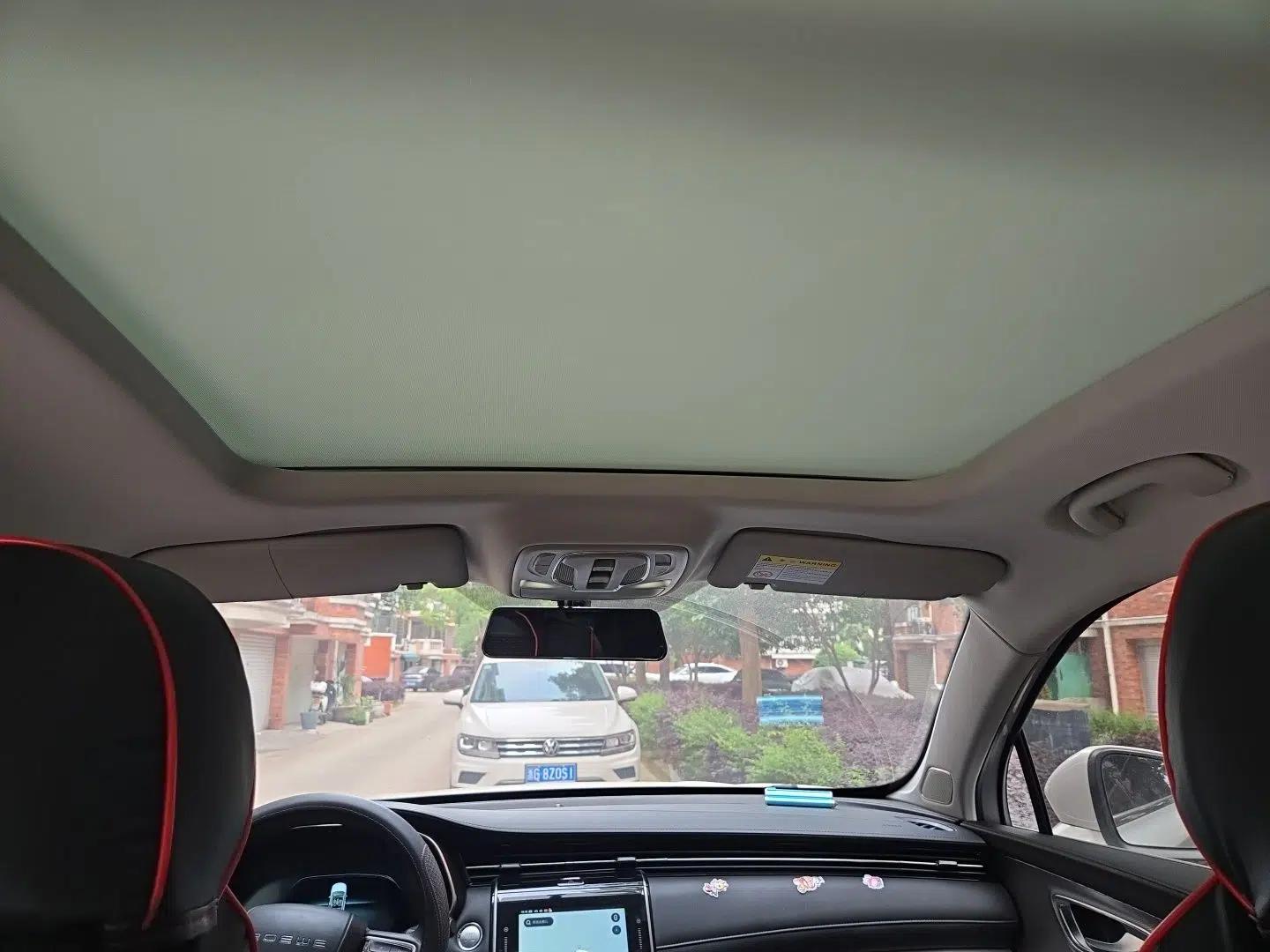 Roewe RX5 MAX 2019 300TGI Automatic 4G Connect Luxury Edition — миниатюра 19