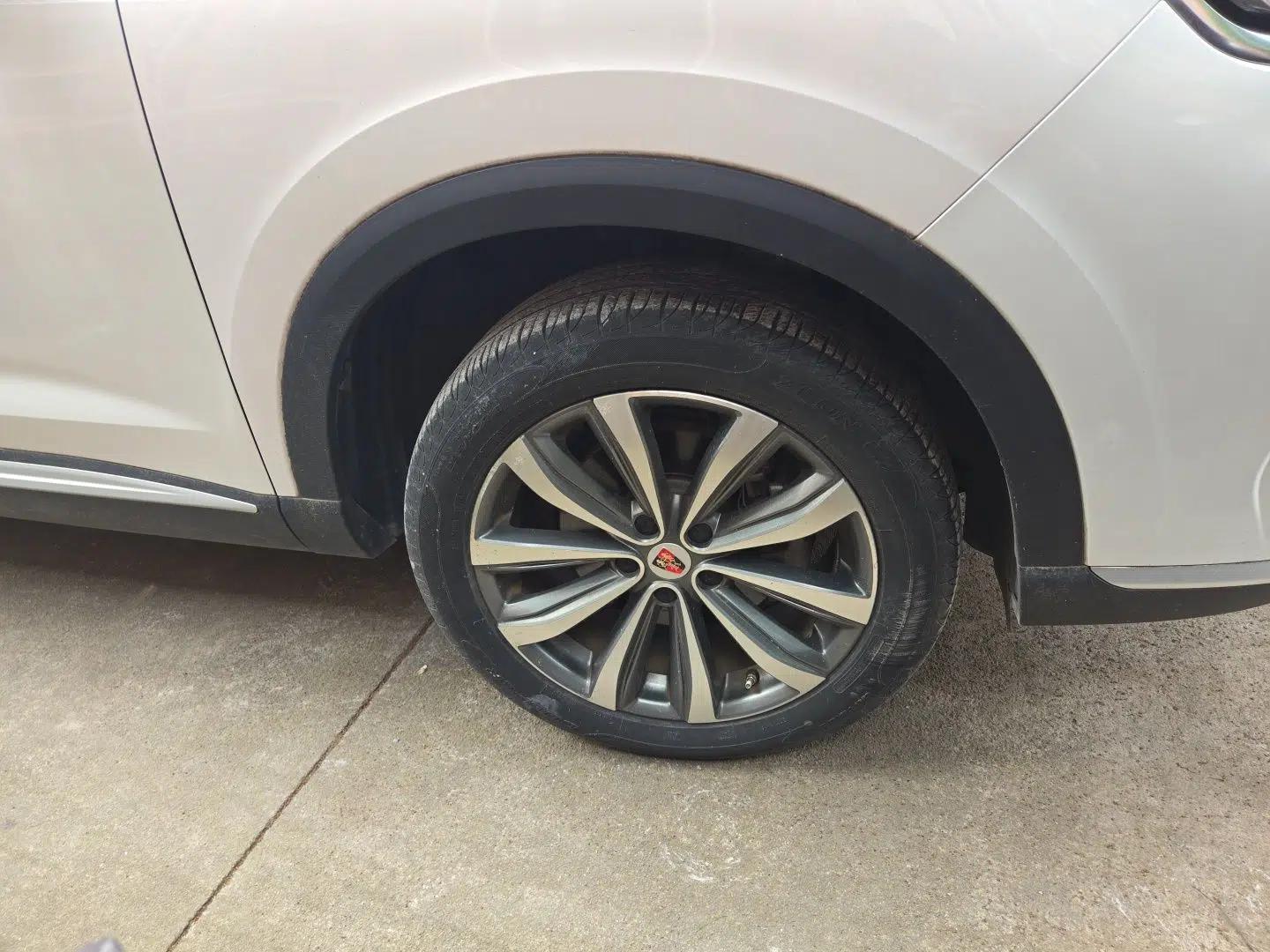 Roewe RX5 MAX 2019 300TGI Automatic 4G Connect Luxury Edition — миниатюра 8