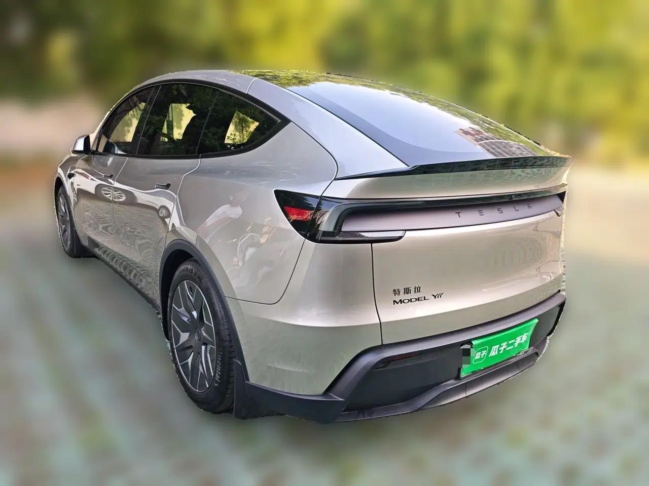 Tesla Model Y L 2025 Model Long-Range All-Wheel-Drive Version — миниатюра 4