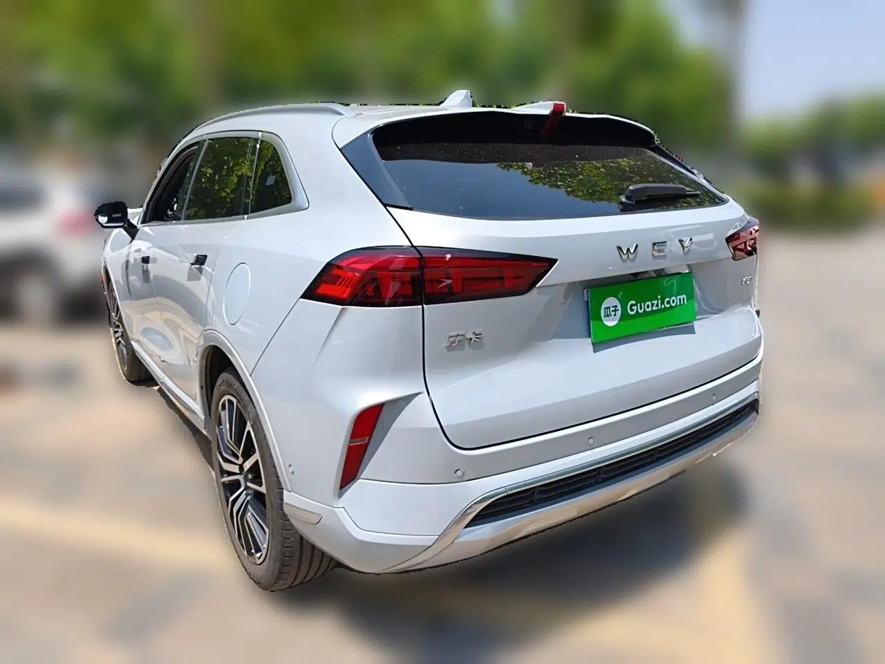 Wey Mocha 2021 2.0T Two-Wheel-Drive Premium Edition — миниатюра 4
