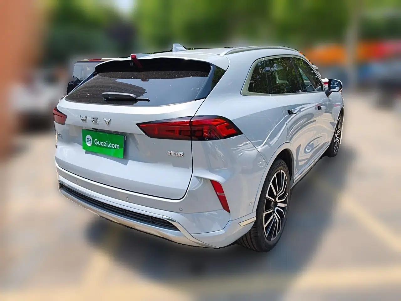 Wey Mocha 2021 2.0T Two-Wheel-Drive Premium Edition — миниатюра 6