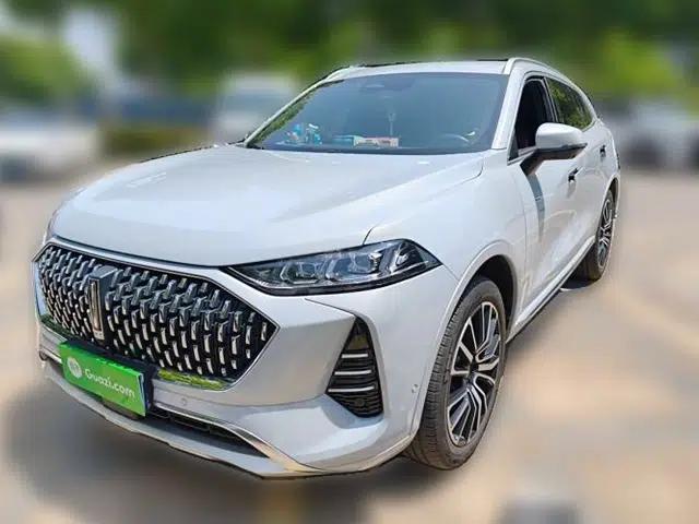 Wey Mocha 2021 2.0T Two-Wheel-Drive Premium Edition
