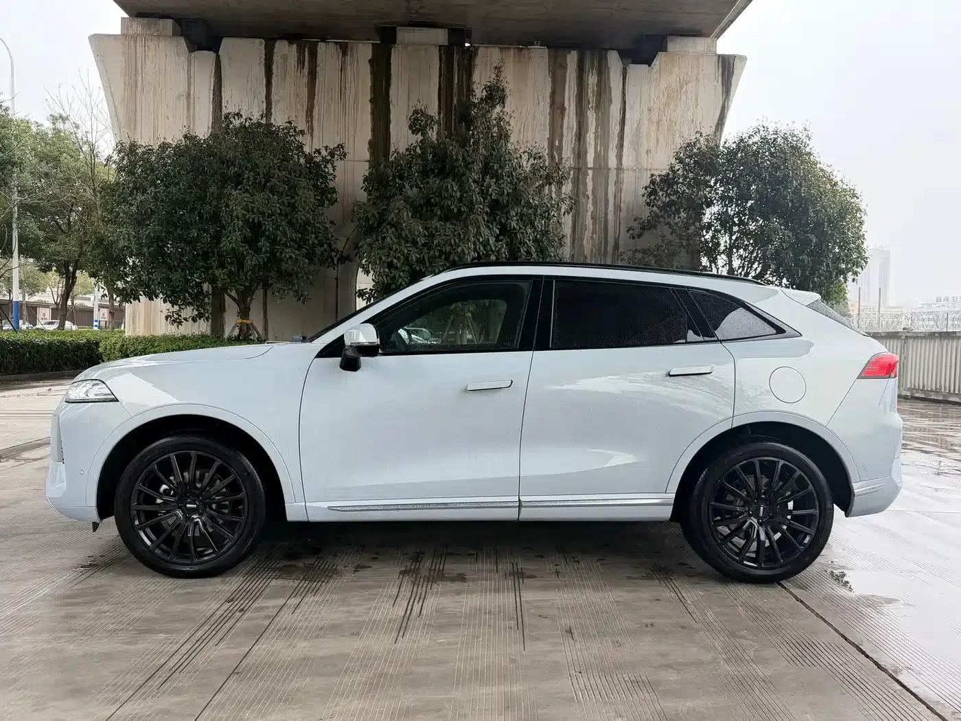 Weipai Mocha New Energy 2022 1.5T Zero Anxiety Performance Edition — миниатюра 11