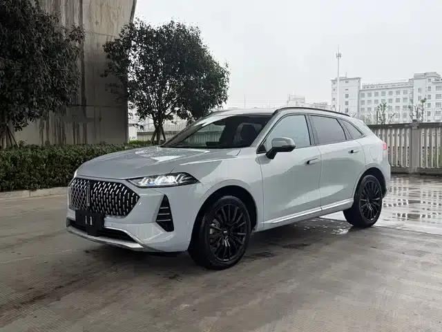 Weipai Mocha New Energy 2022 1.5T Zero Anxiety Performance Edition