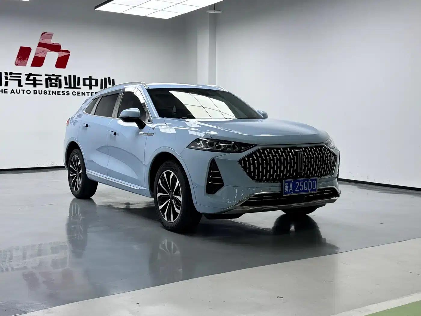 Wei brand Mocha 2021 2.0T 2WD Extra Rich Edition — миниатюра 3