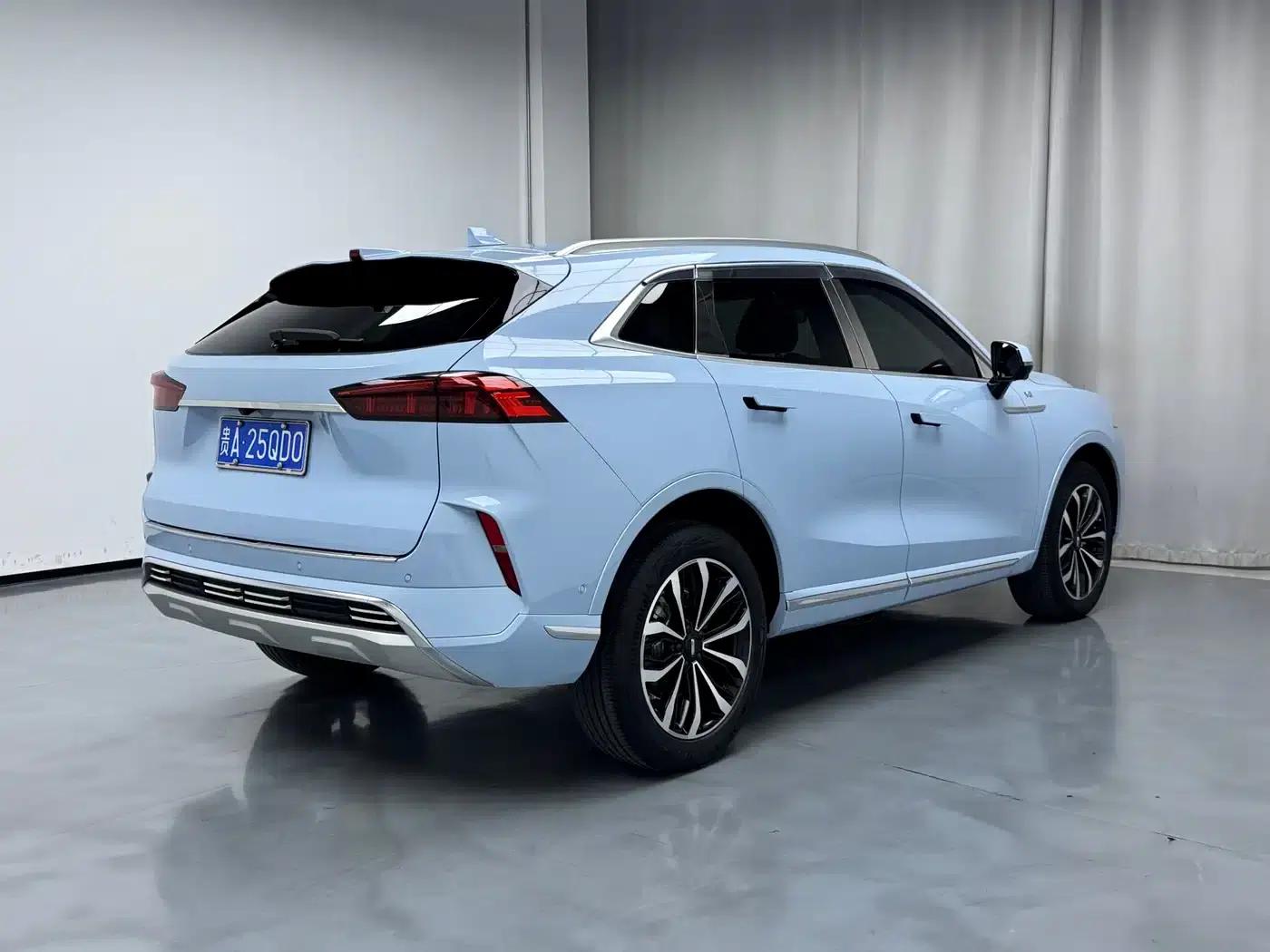 Wei brand Mocha 2021 2.0T 2WD Extra Rich Edition — миниатюра 4