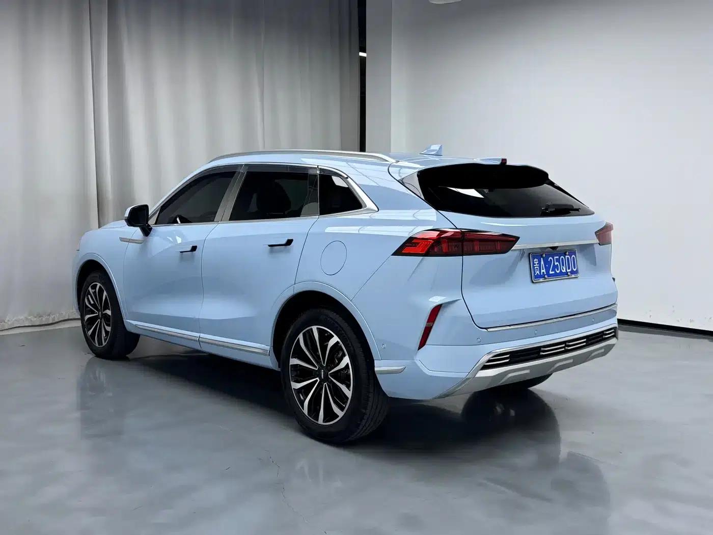 Wei brand Mocha 2021 2.0T 2WD Extra Rich Edition — миниатюра 6