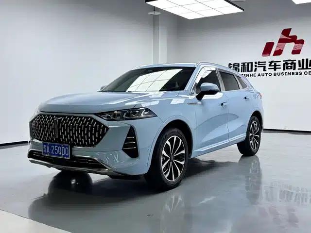 Wei brand Mocha 2021 2.0T 2WD Extra Rich Edition