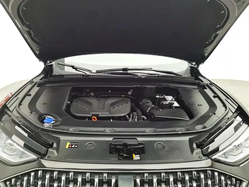 Wei brand Mocha 2021 2.0T 2WD Extra Rich Edition — миниатюра 6