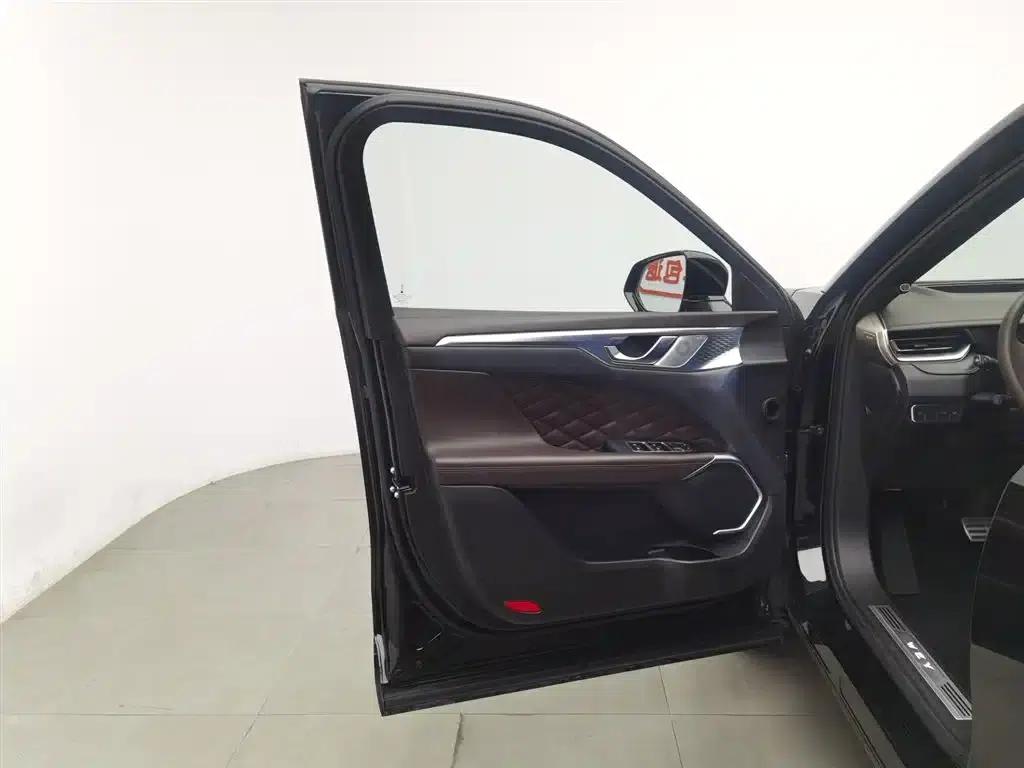 Wei brand Mocha 2021 2.0T 2WD Extra Rich Edition — миниатюра 8