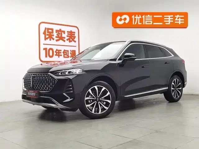 Wei brand Mocha 2021 2.0T 2WD Extra Rich Edition