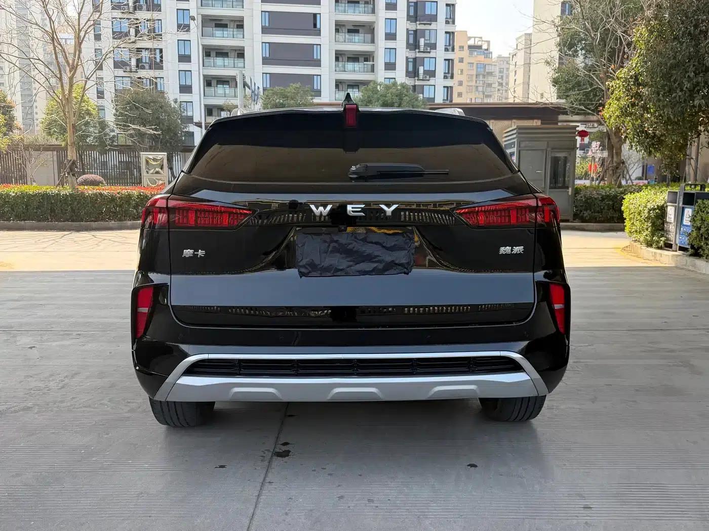 Wei brand Mocha 2021 2.0T 4WD Extra Rich Edition — миниатюра 9