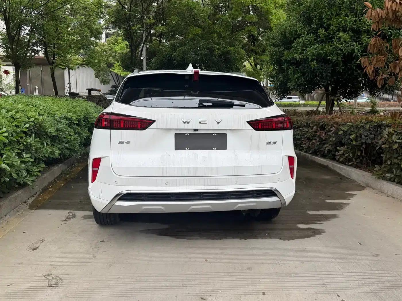 Wey brand Mocha 2021 2.0T 4WD Special Edition — миниатюра 10