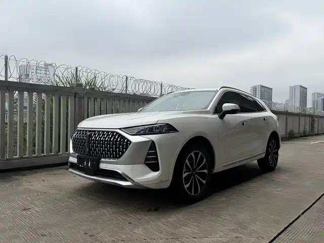 Wey brand Mocha 2021 2.0T 4WD Special Edition