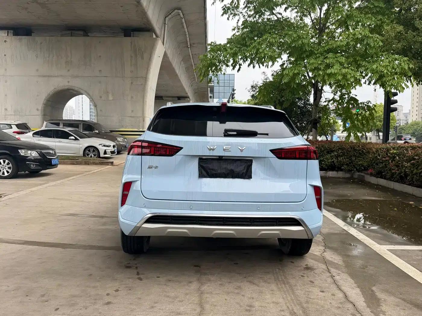 Wey brand Mocha 2021 2.0T 4WD Special Edition — миниатюра 9