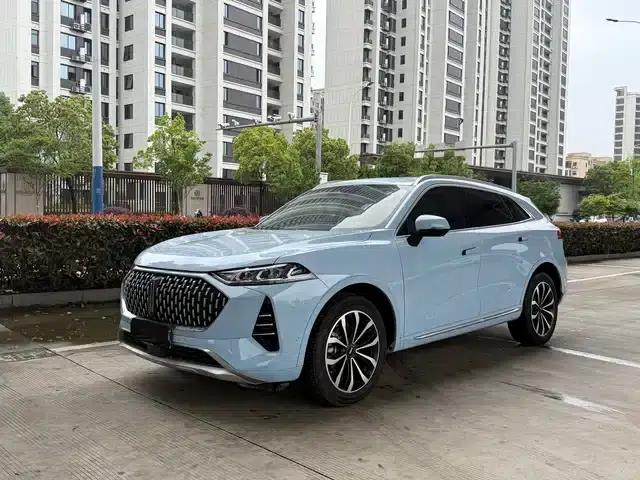 Wey brand Mocha 2021 2.0T 4WD Special Edition