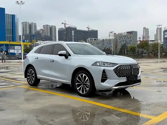 Wey brand Mocha 2021 2.0T 4WD Special Edition