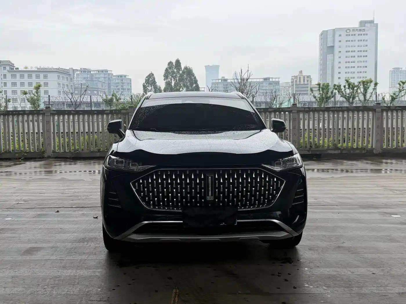Wey brand Mocha 2021 2.0T 2WD Special Edition — миниатюра 2