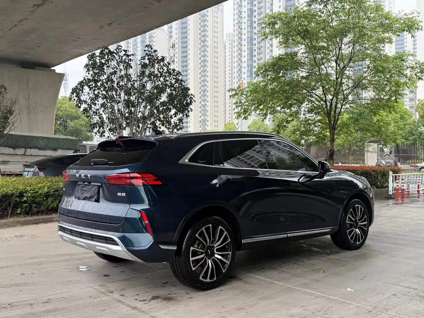 Wey brand Mocha 2021 2.0T 2WD Special Edition — миниатюра 11