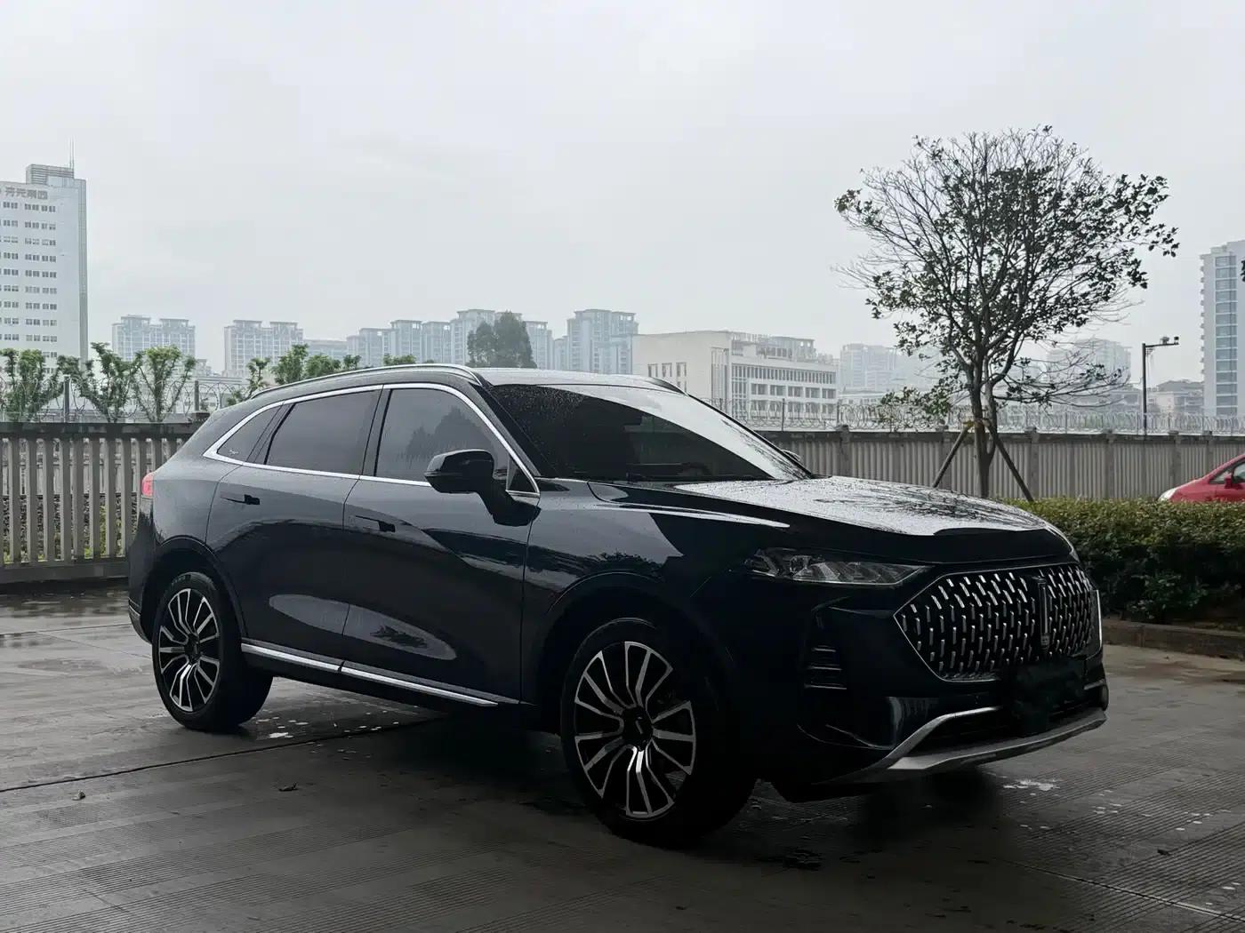Wey brand Mocha 2021 2.0T 2WD Special Edition — миниатюра 3