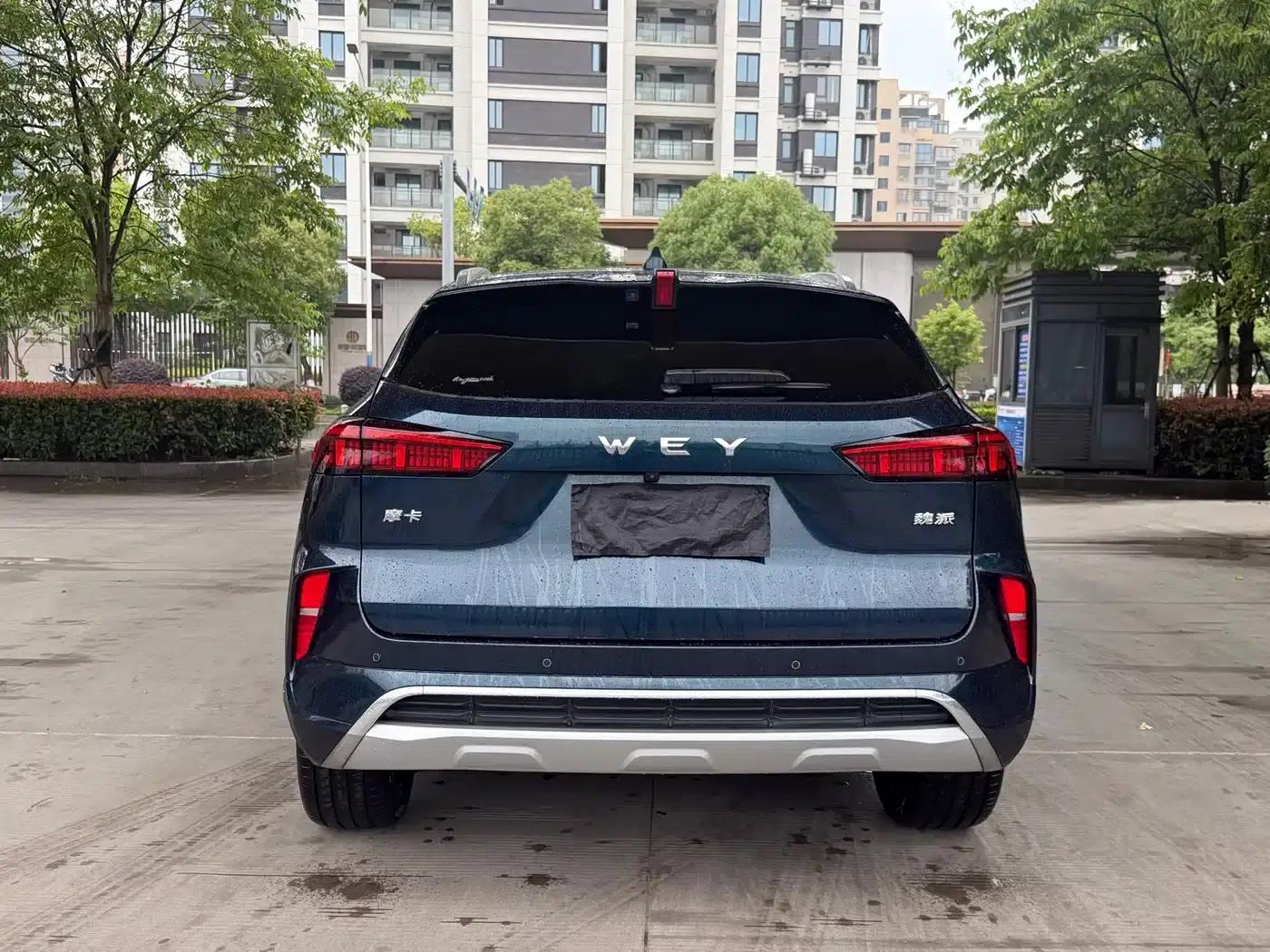 Wey brand Mocha 2021 2.0T 2WD Special Edition — миниатюра 10
