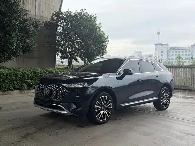 Wey brand Mocha 2021 2.0T 2WD Special Edition