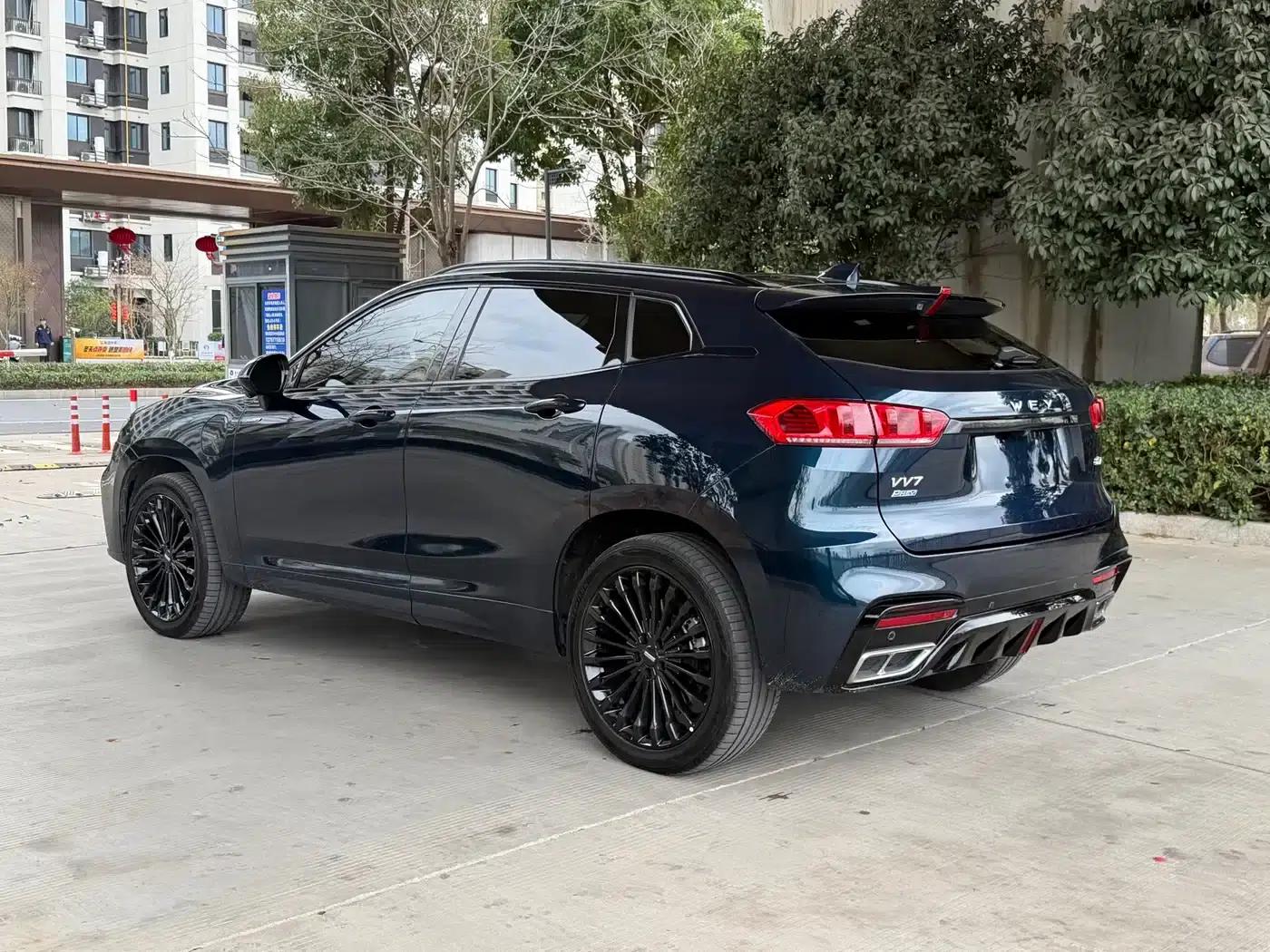 Weipai VV7 New Energy 2020 PHEV 2.0T Flagship Edition — миниатюра 10