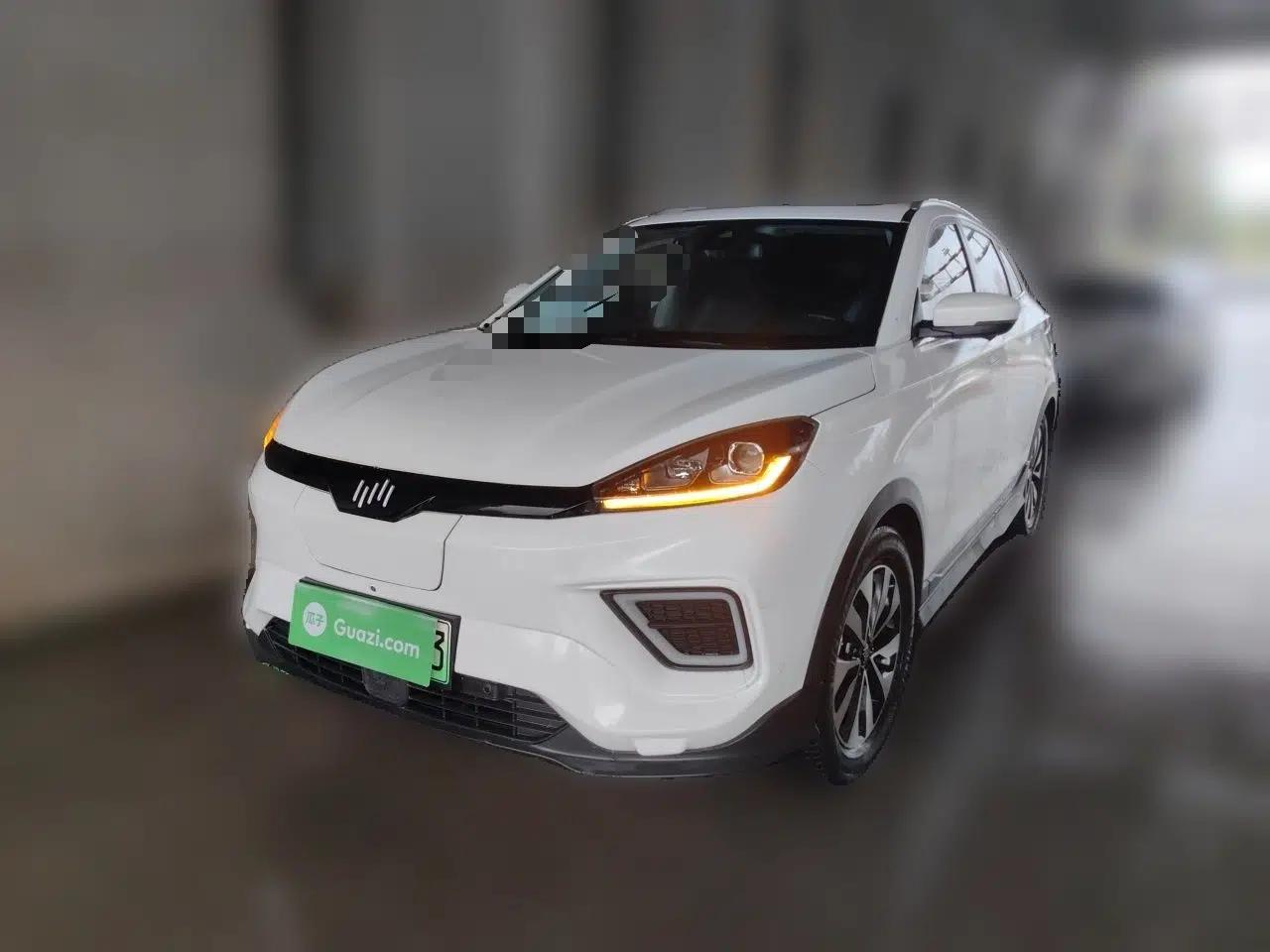 WM Motor EX5 2020 EX5-Z Pro Performance Edition — миниатюра 1