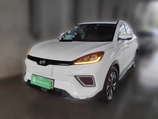 WM Motor EX5 2020 EX5-Z Pro Performance Edition