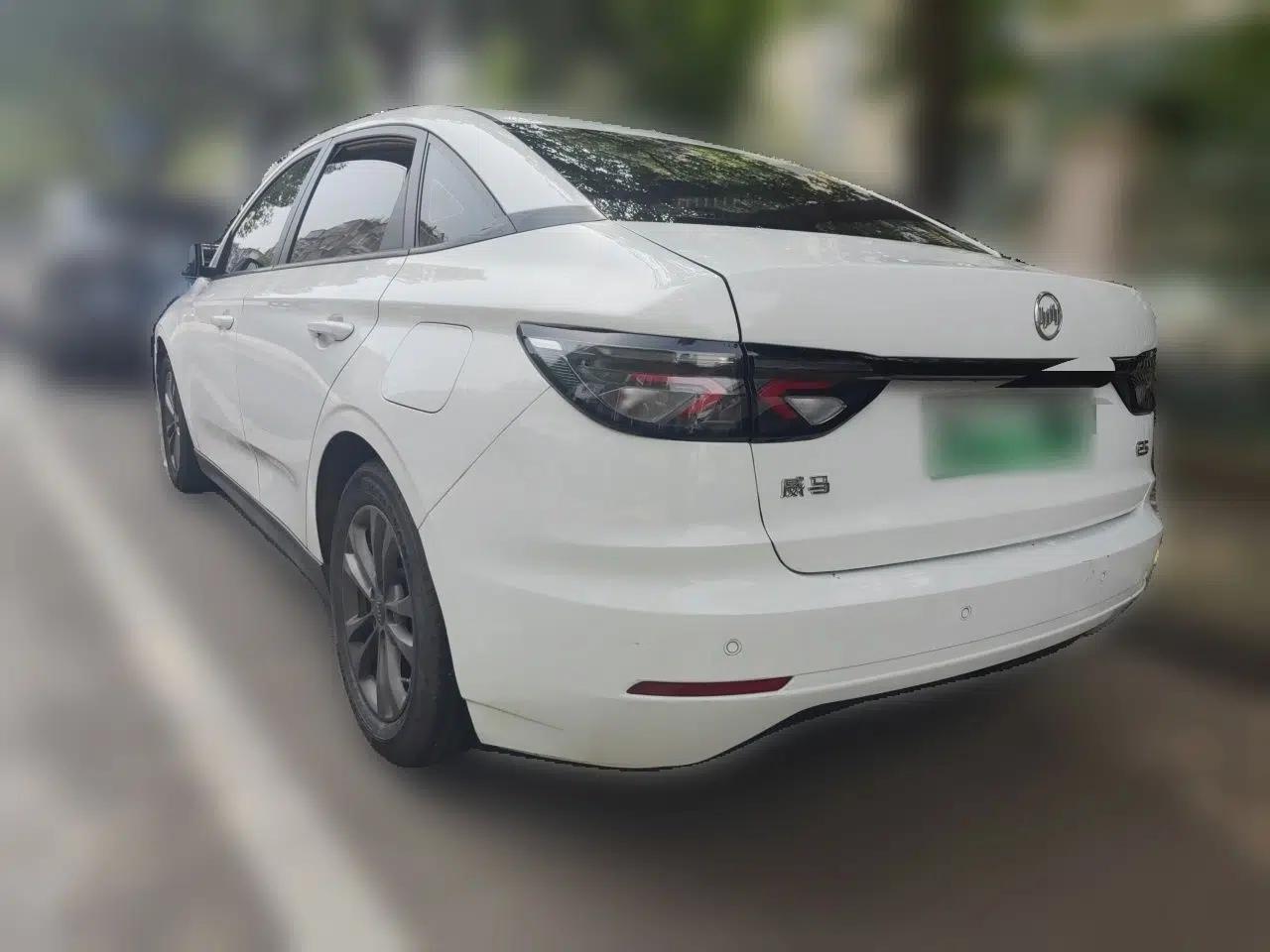 WM Motor E.5 2021 500 Ji Ke Xing — миниатюра 4