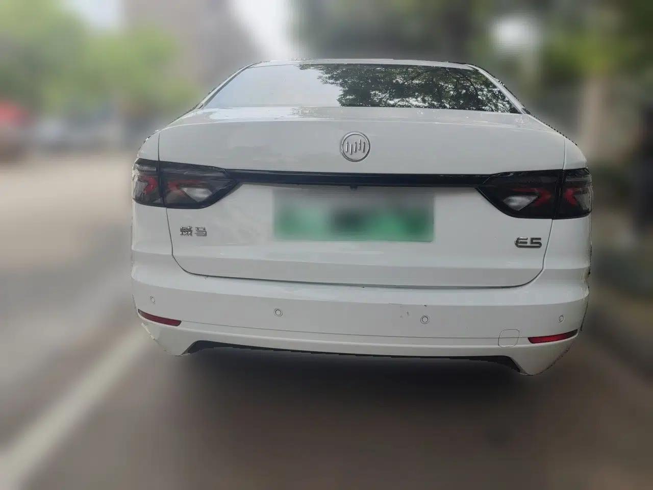 WM Motor E.5 2021 500 Ji Ke Xing — миниатюра 5