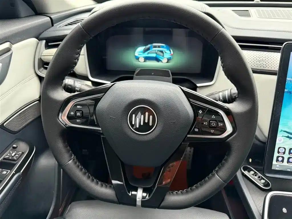 Weltmeister EX5 2021 EX5-Z Lead Edition — миниатюра 14