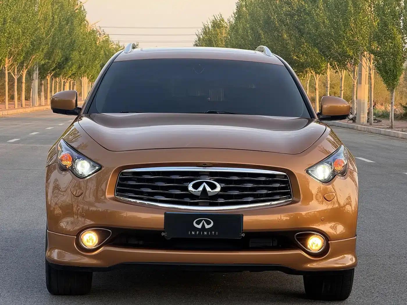 Infiniti FX 2010 FX50 Ultimate Edition — миниатюра 2