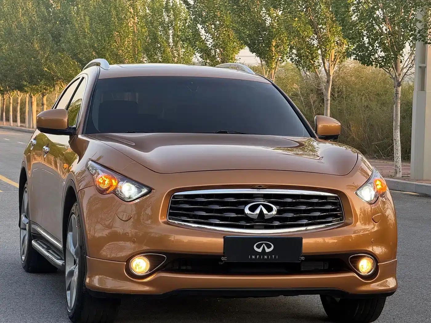 Infiniti FX 2010 FX50 Ultimate Edition — миниатюра 8