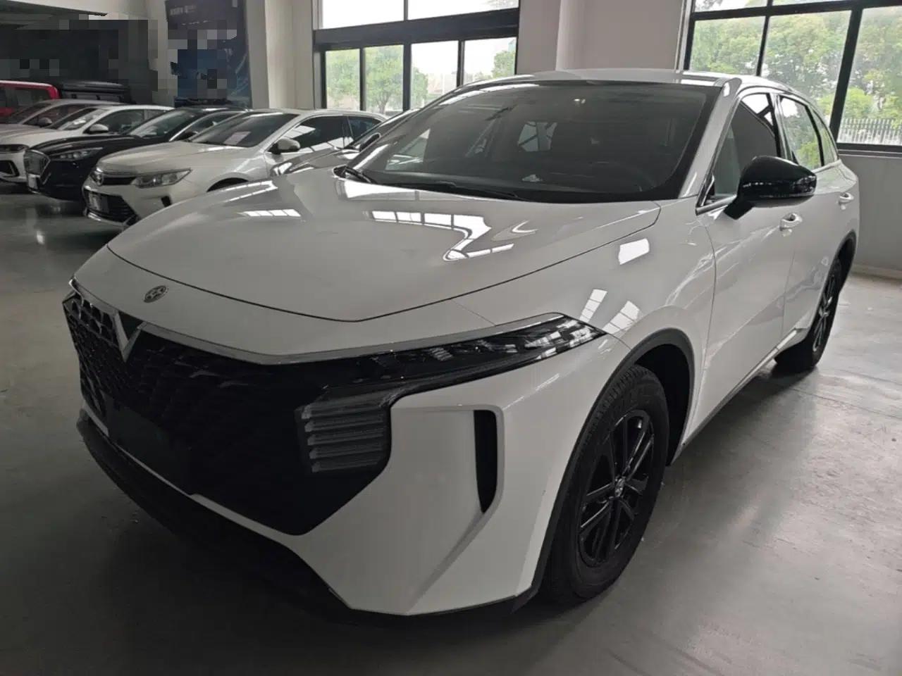 Venucia V 2024 260T New Star Edition Pro — миниатюра 1