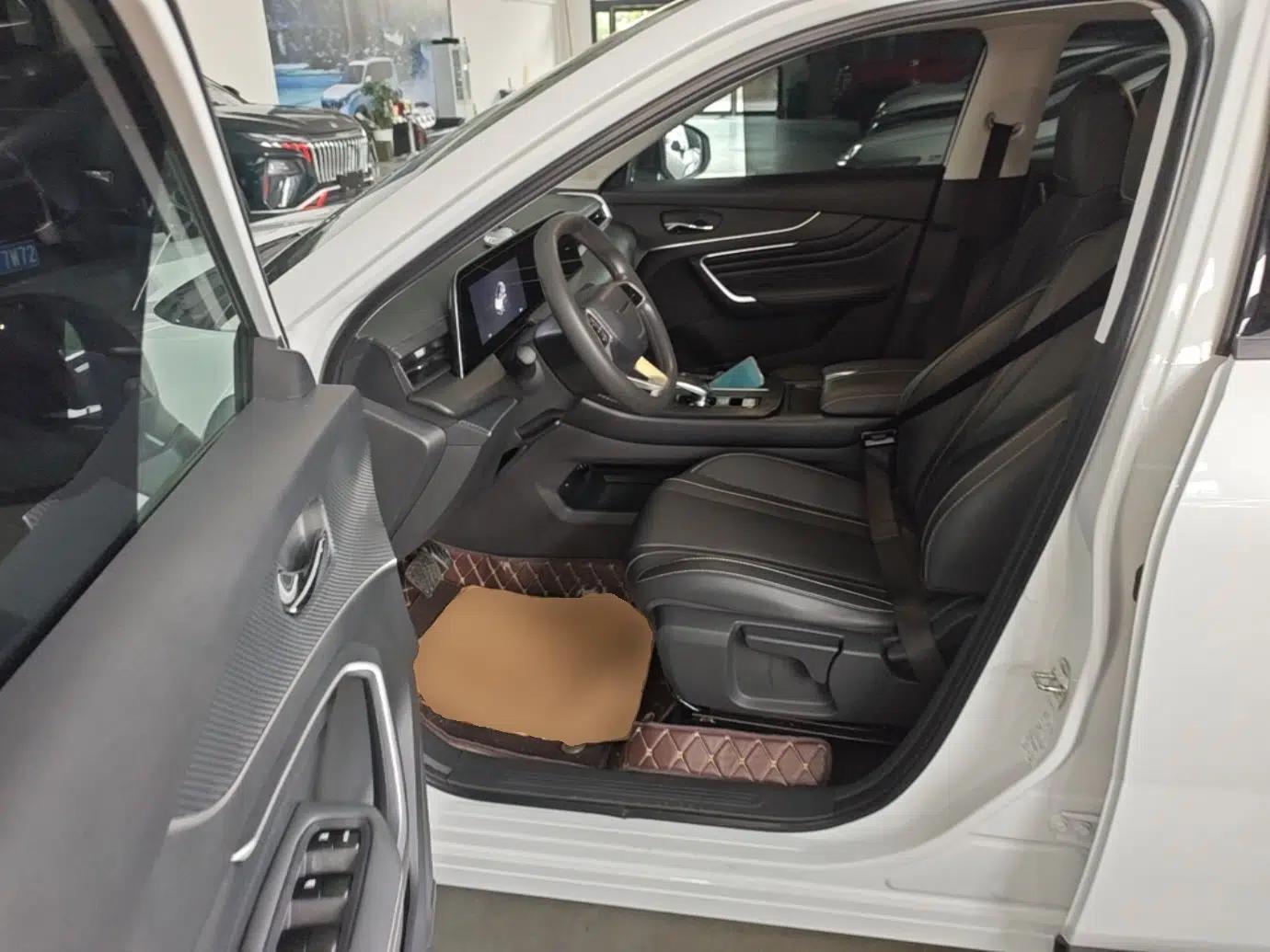 Venucia V 2024 260T New Star Edition Pro — миниатюра 19