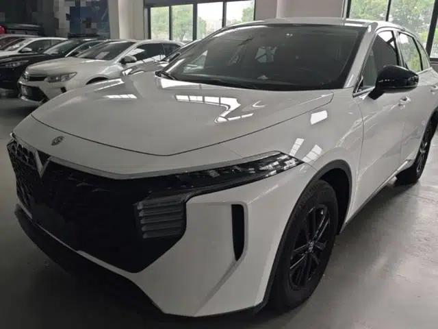 Venucia V 2024 260T New Star Edition Pro