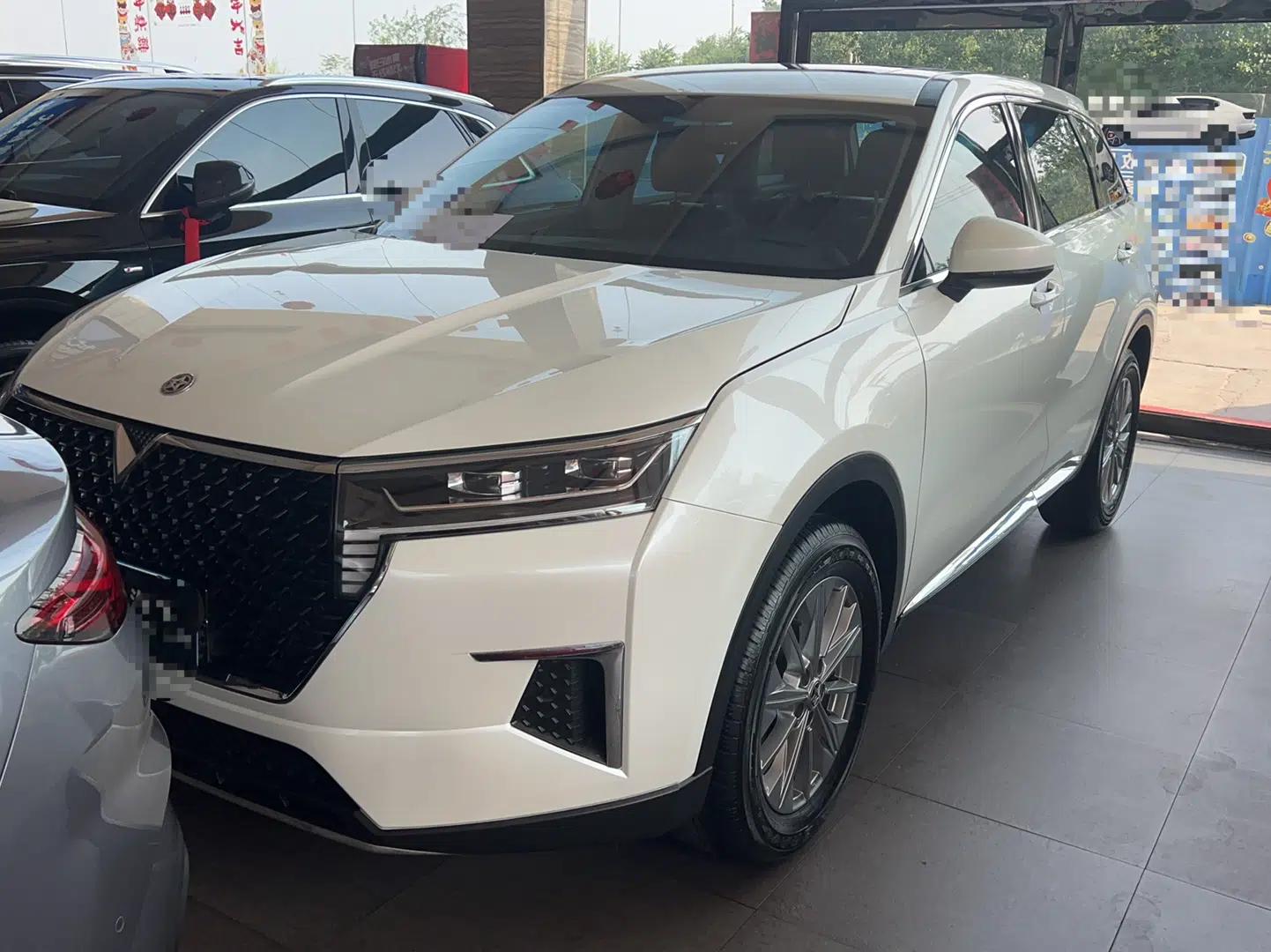 Venucia Star 2020 260T Automatic XingShang Edition — миниатюра 1