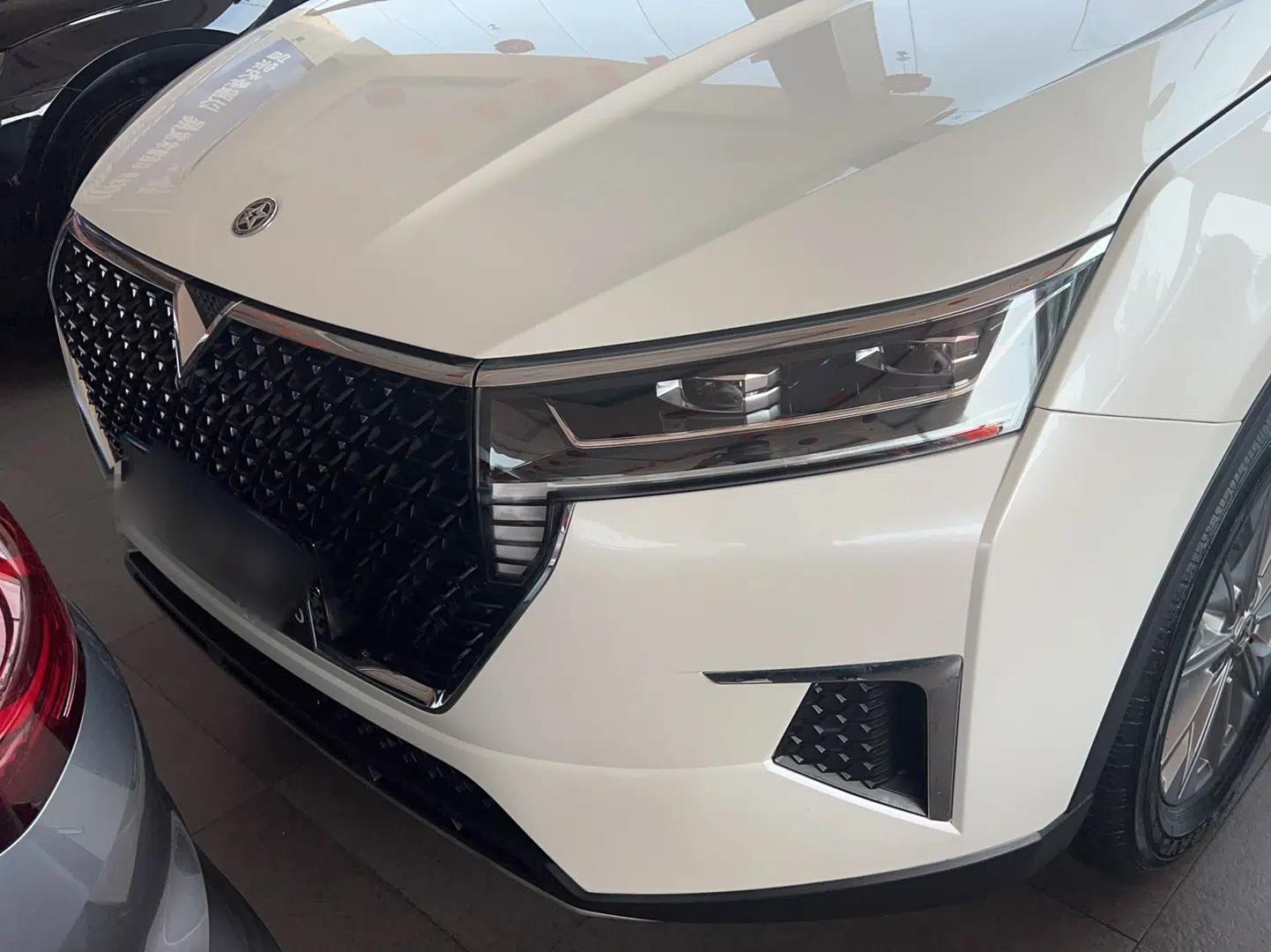 Venucia Star 2020 260T Automatic XingShang Edition — миниатюра 2