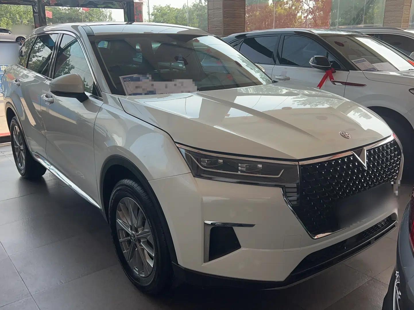 Venucia Star 2020 260T Automatic XingShang Edition — миниатюра 3