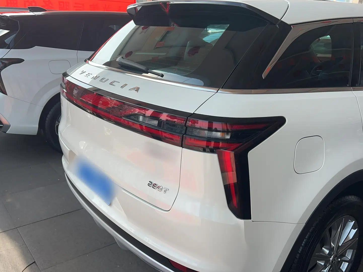Venucia Star 2020 260T Automatic XingShang Edition — миниатюра 4