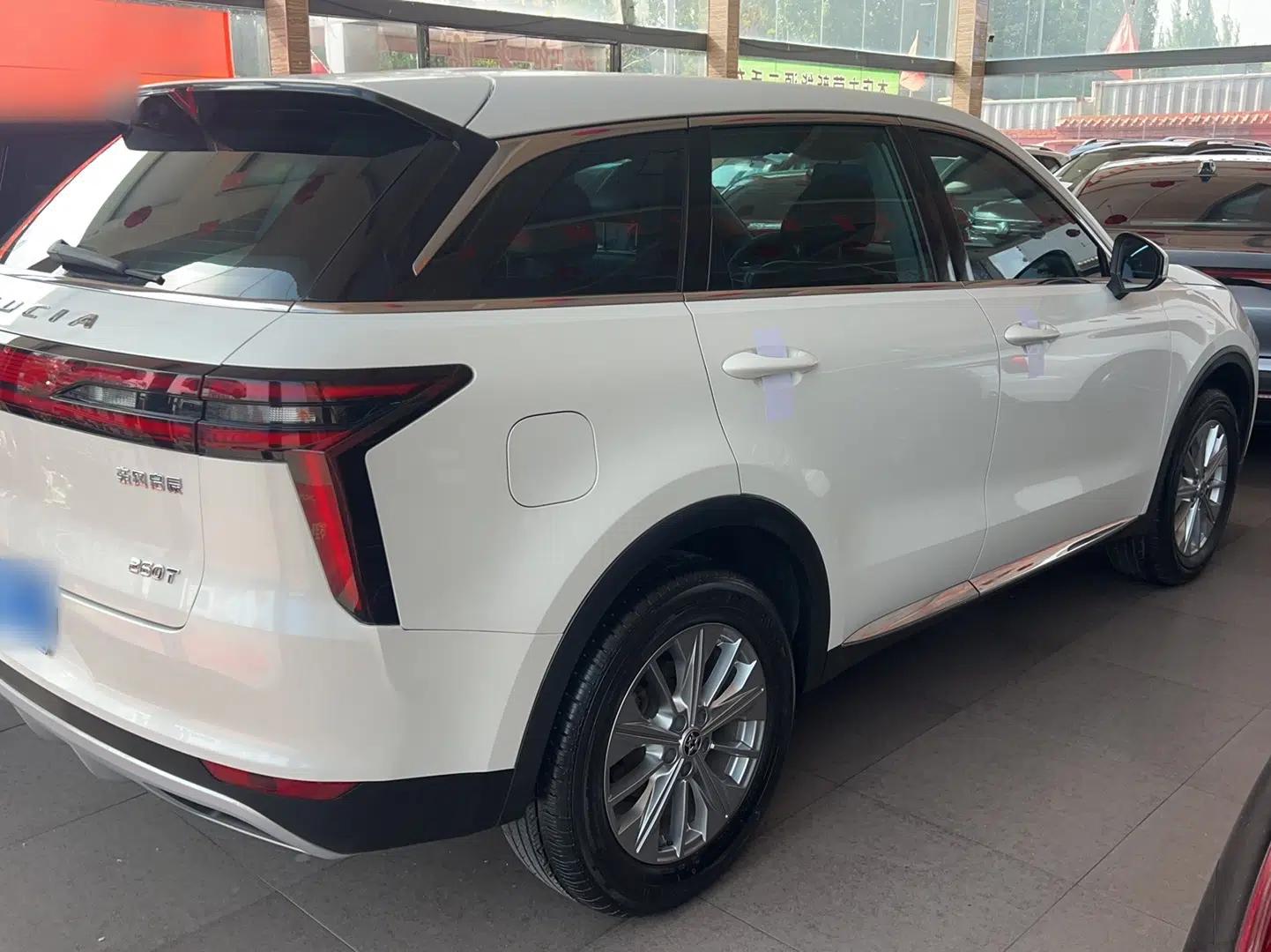 Venucia Star 2020 260T Automatic XingShang Edition — миниатюра 5