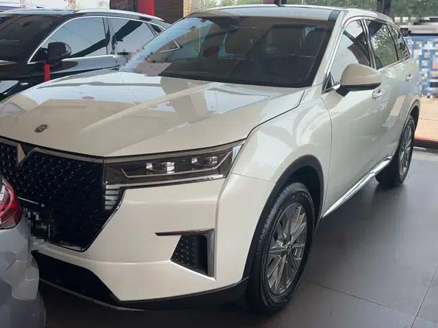 Venucia Star 2020 260T Automatic XingShang Edition
