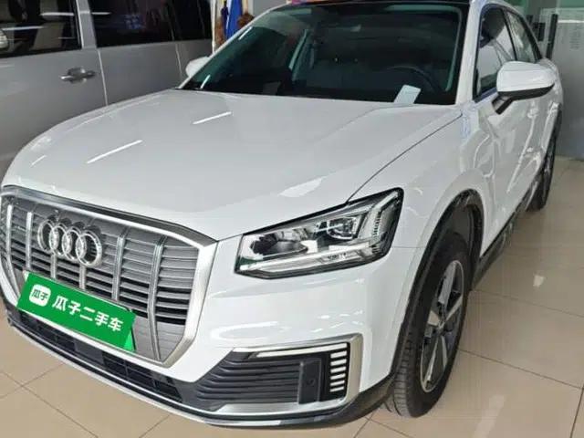 Audi Q2L e-tron 2019 Q2L e-tron Pure Electric Smart Enjoyment Model