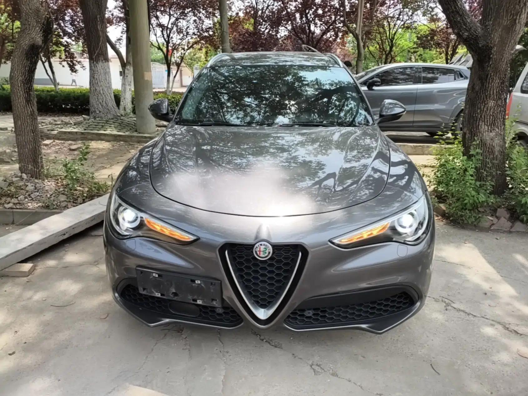 Alfa Romeo Stelvio 2020 2.0T 280HP Luxury Edition — миниатюра 2
