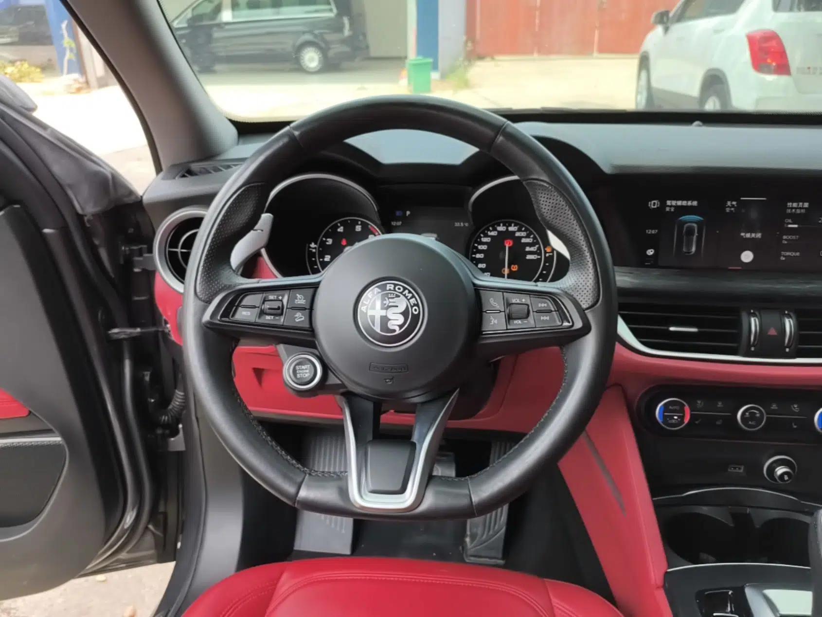 Alfa Romeo Stelvio 2020 2.0T 280HP Luxury Edition — миниатюра 13