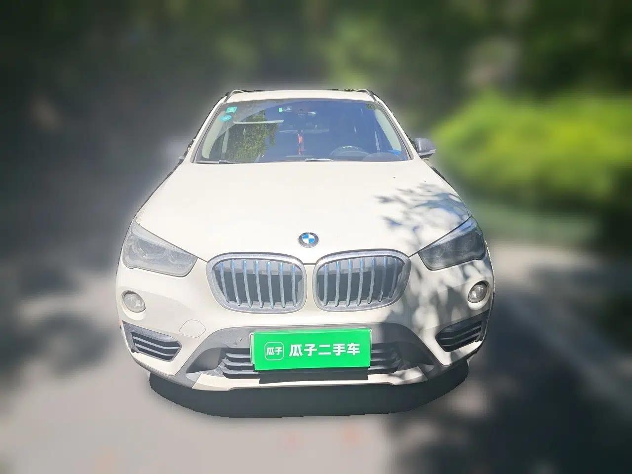 BMW X1 New Energy 2019 xDrive25Le Luxury Model — миниатюра 2